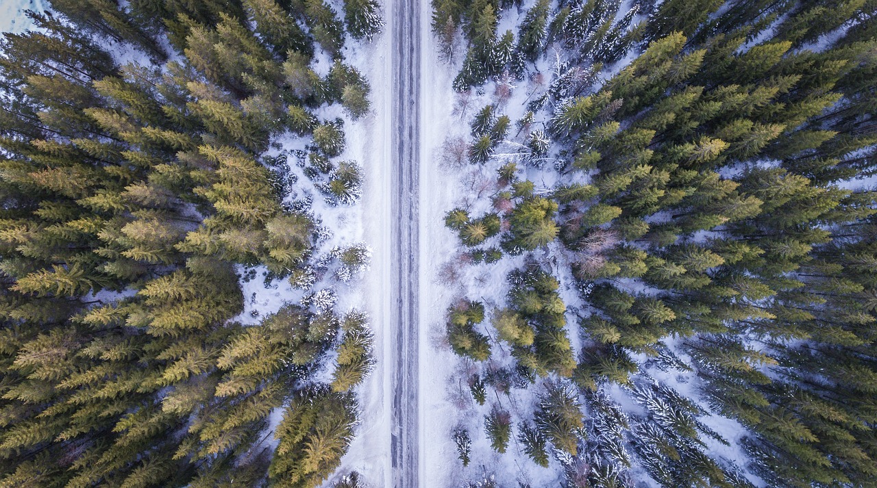 文化体育旅游冰雪